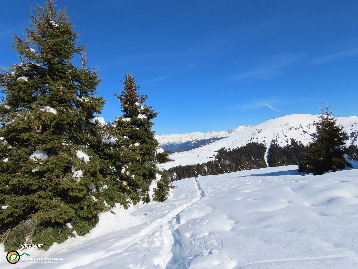 31 Tanta la neve nell'abetaia.JPG